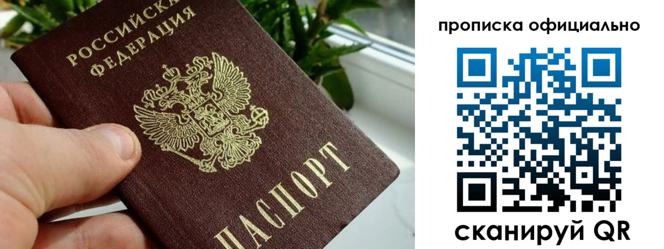 прописка поиск в Донском